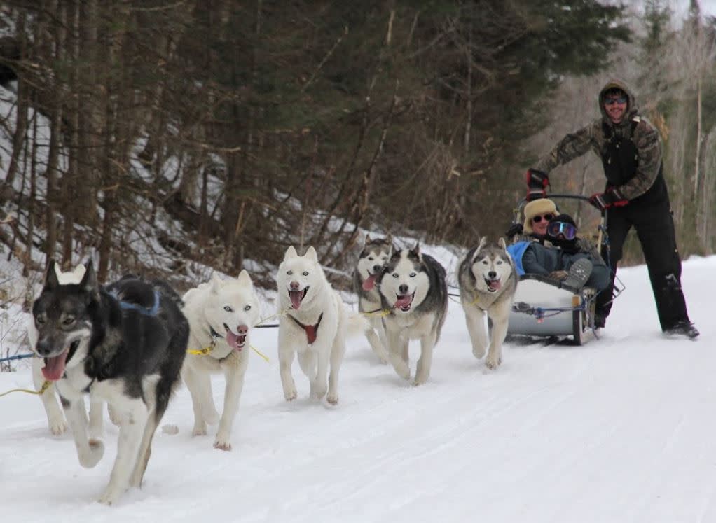 Muddy Paw Sled Dog Kennel Jefferson, NH