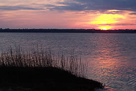Carolina Beach State Park