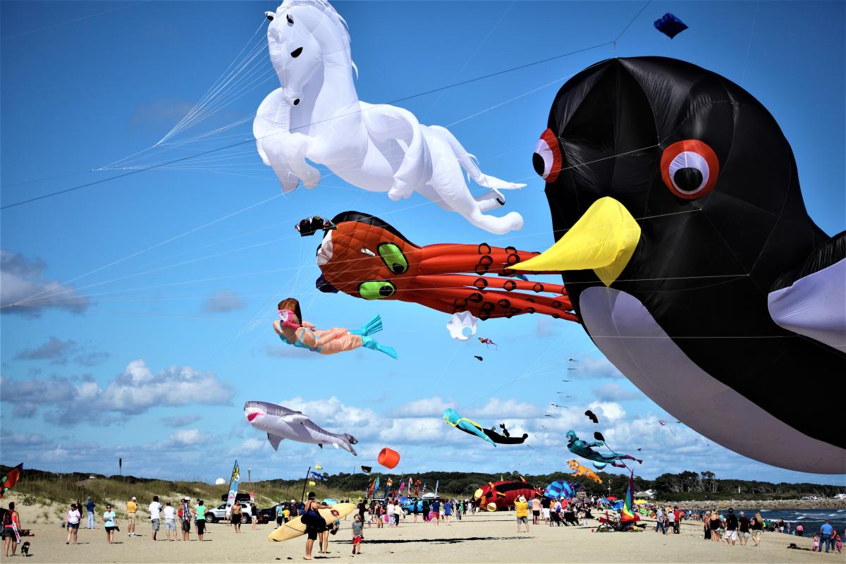 Cape Fear Kite Festival Kure Beach, NC 28449