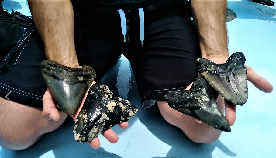 Carolina Beach Scuba