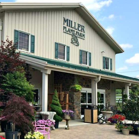 Miller Plant Farm York, PA 17403