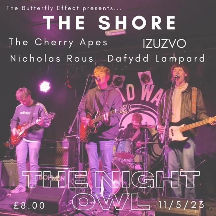 The Butterfly Effect Events Presents.. The Shore/The Cherry Apes/IZUZVO ...