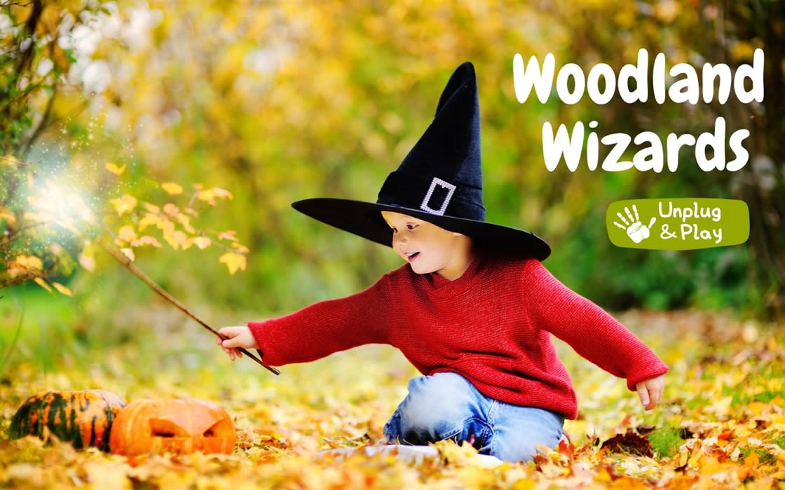 Woodland Wizards