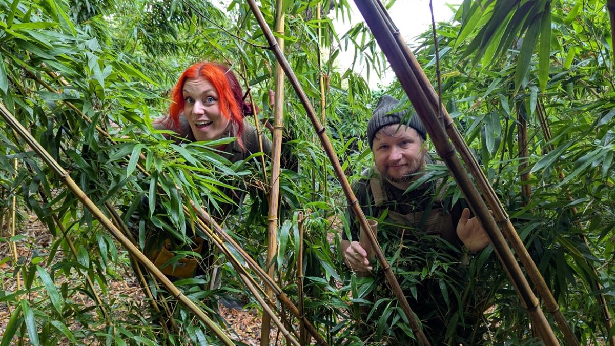 October Half Term Family Fun: Bam-BOO!