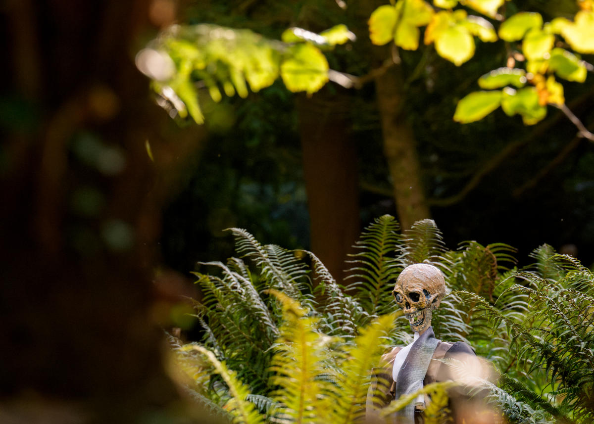 Frightful Fernery - Halloween Trail at Mount Stewart