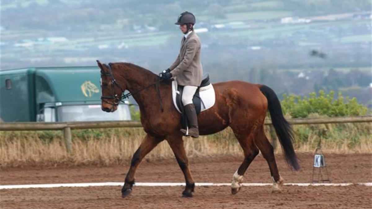 Ballyknock Riding School