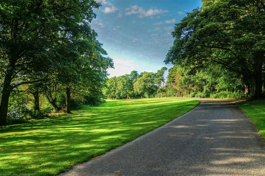 Lurgan Park