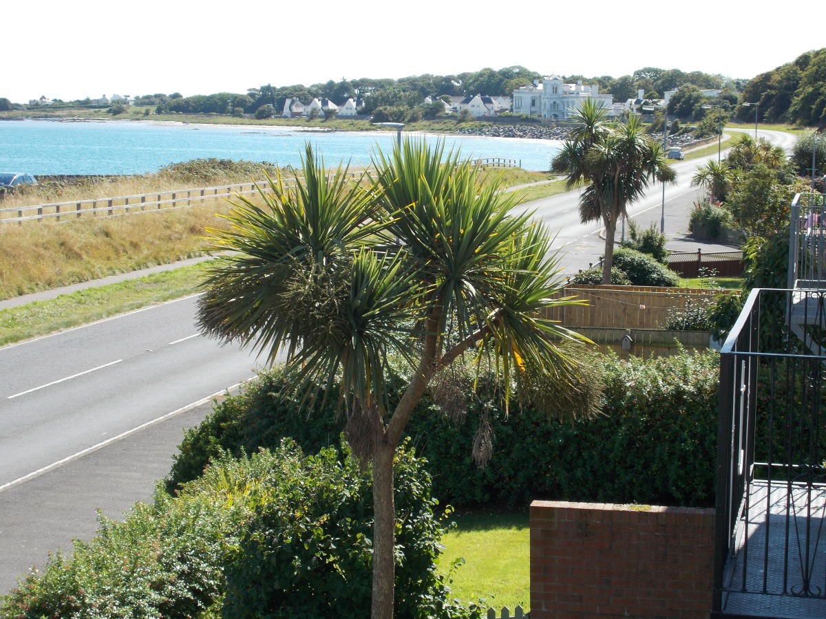 The Seashore