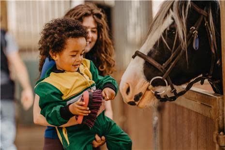 Adventure Ride with Crindle Stables