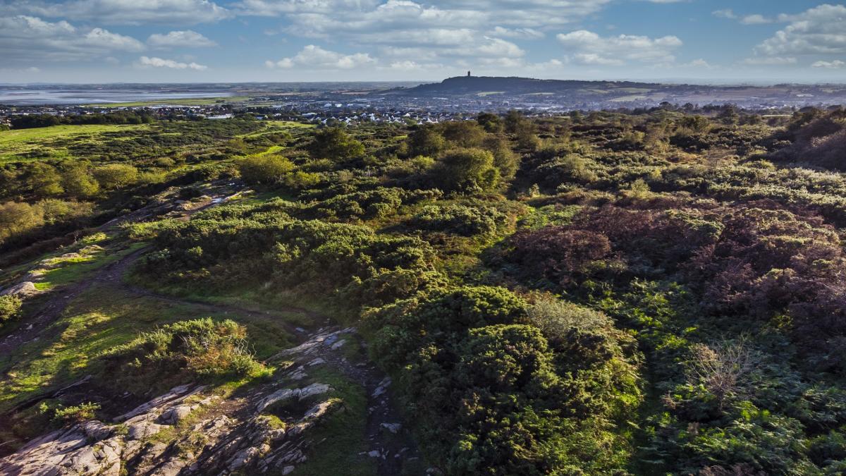 Whitespots country park
