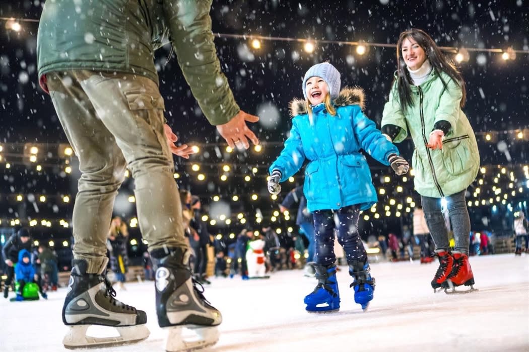 Santry Ice Rink Rink Santa's Village Ice Rink