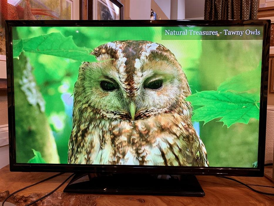 Robert Fuller Gallery