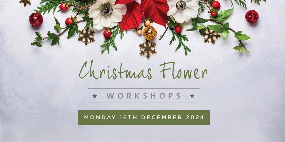 Christmas Flowers Advanced Visit the New Forest