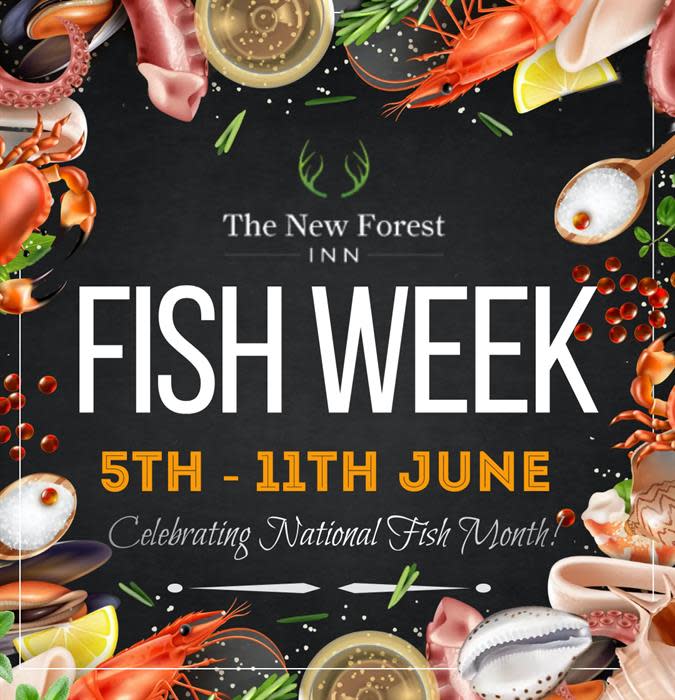 Fish Week! - Visit the New Forest