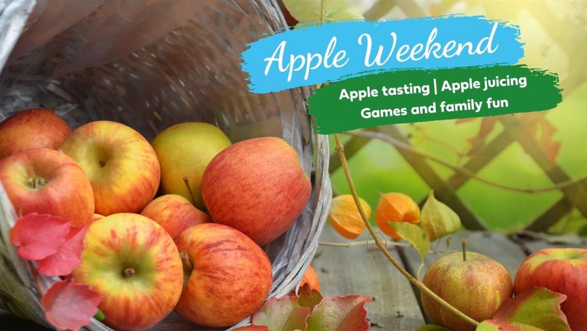 Fall Apple Weekend Apple weekend - Visit the New Forest