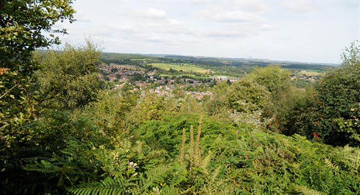 Kinver Stream Kinver Edge