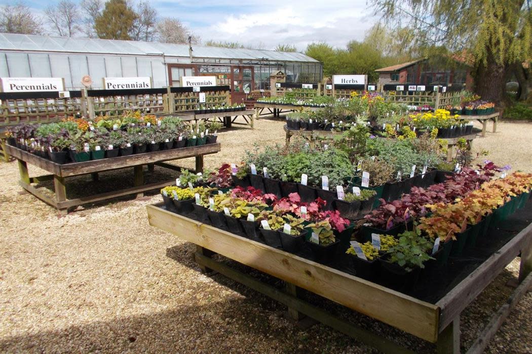 Mires Beck Nursery