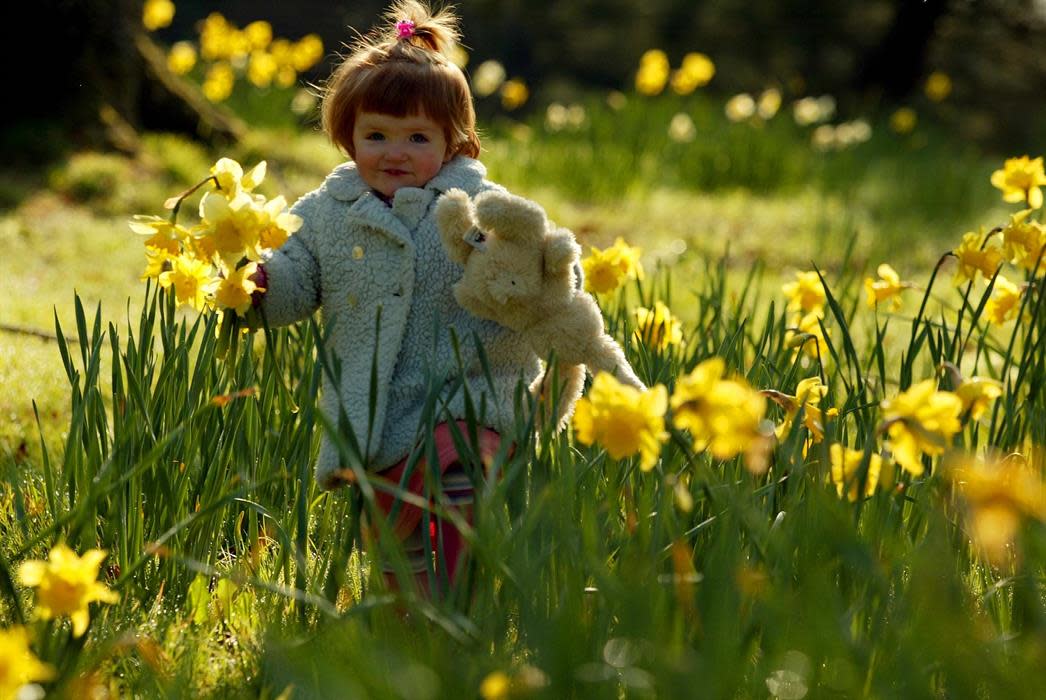 Easter at Exbury Visit the New Forest