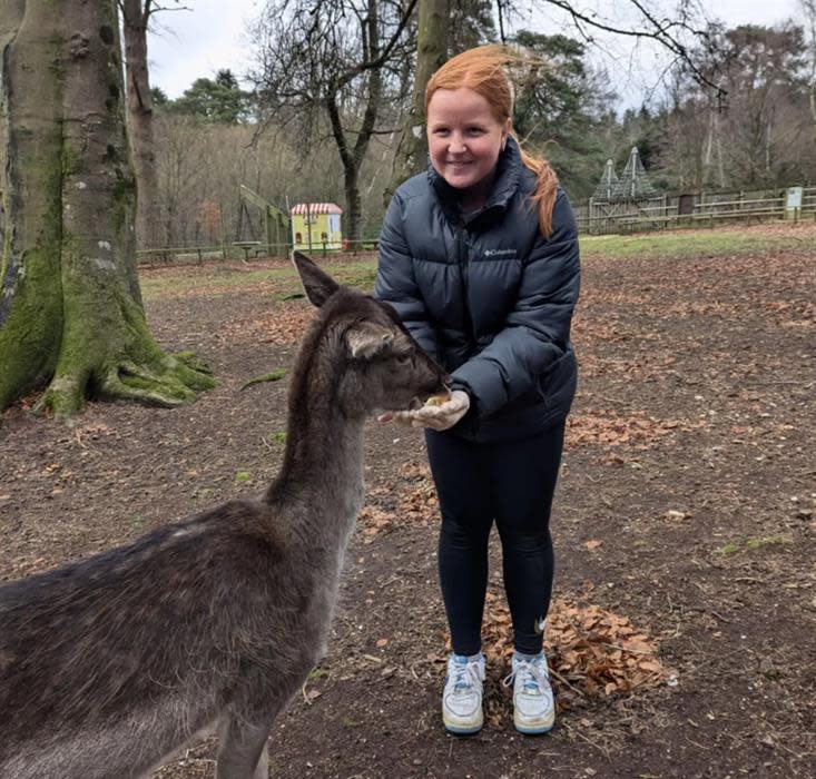 Deer Feeding Encounter - Visit the New Forest