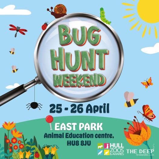 Bug Hunt Weekend - Visit Hull