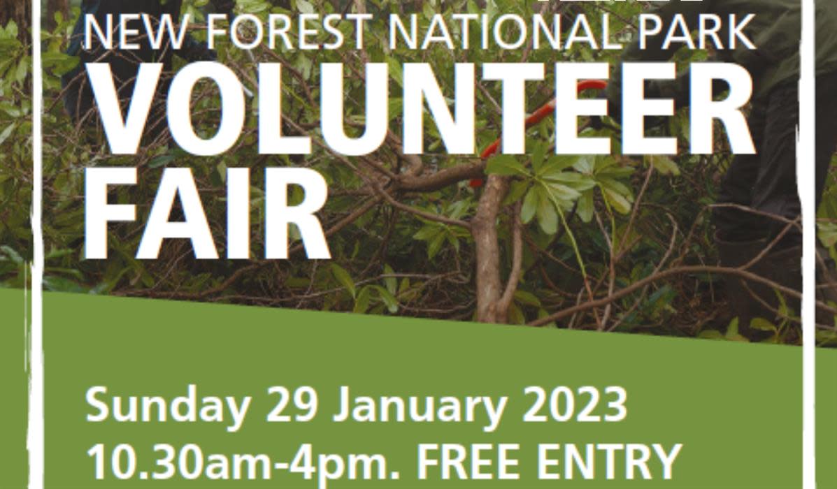 New Forest National Park Volunteer Fair Visit the New Forest