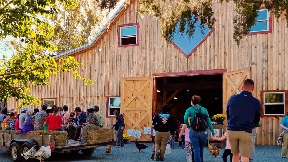 Harvest Festival 2026 — Family fun in Sunrise Community Farm Center · Chapel Hill, North Carolina