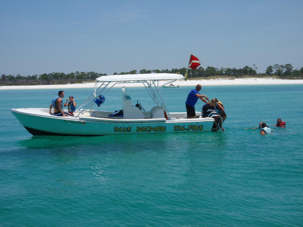 Blue Dolphin Tours Panama City Beach Fl 32408