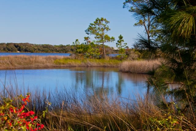 Camp Helen State Park Panama City Beach Fl 32413