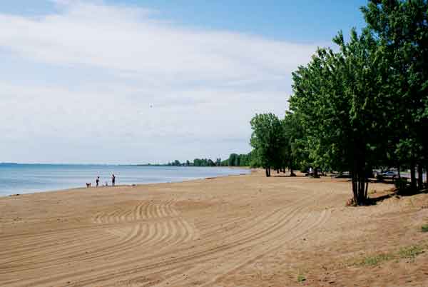 Turkey Point Map Turkey Point Provincial Park