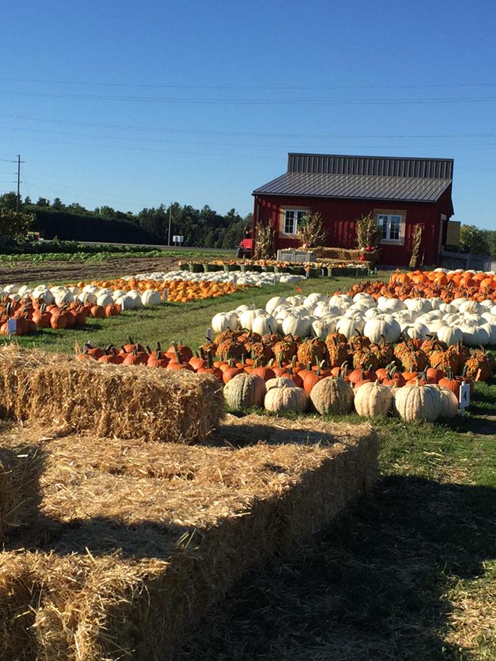 Godes Farm Godelie Family Farm
