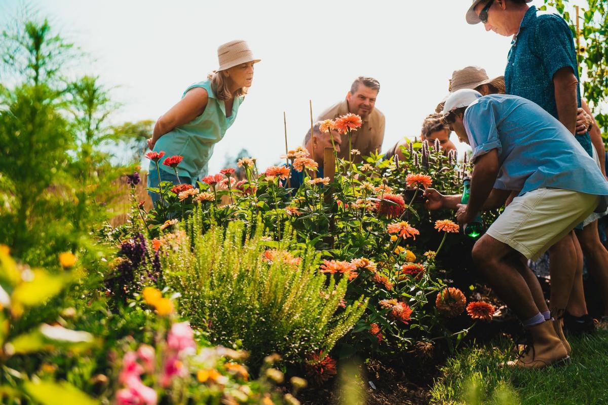 The Buzz about Pollinators by The Walnut Grove Bed & Breakfast