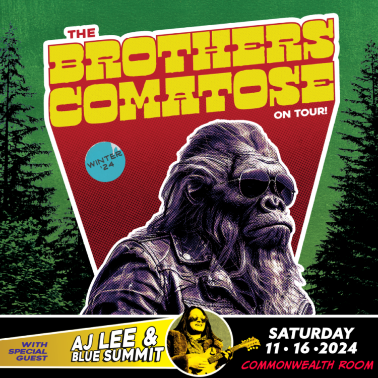 The Brothers Comatose with AJ Lee & Blue Summit