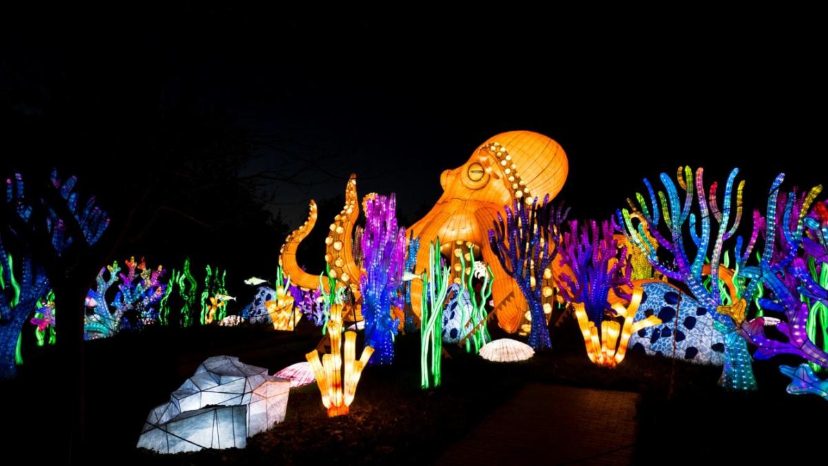 Living Aquarium Lantern Festival