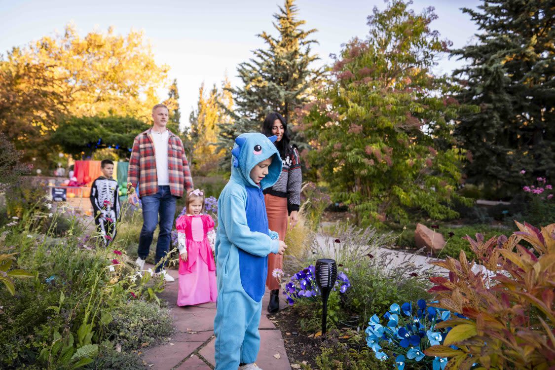 2026 Garden After Dark: Adventures in Neverland 2026 Garden After Dark: Adventures in Neverland