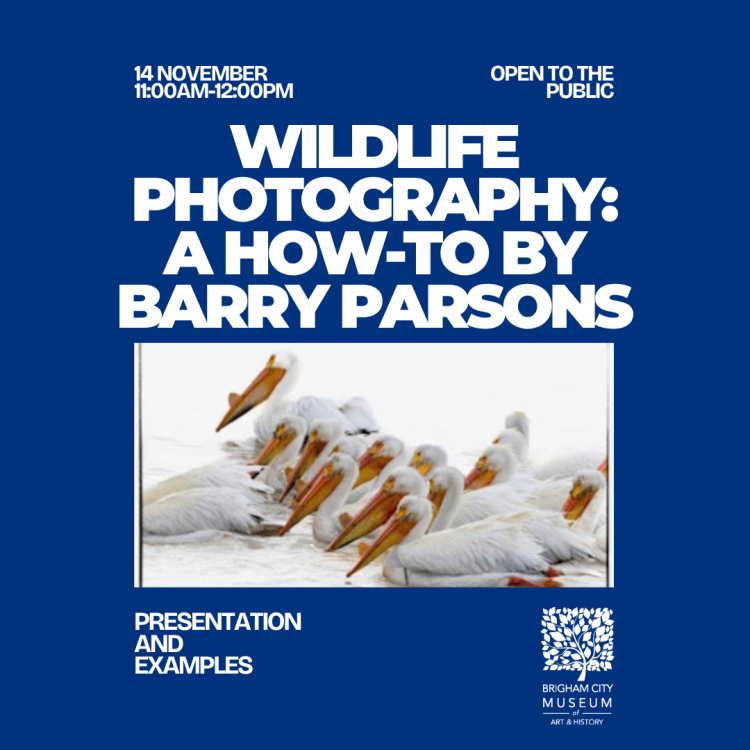 Wildlife Photography: A How-To by Barry Parsons