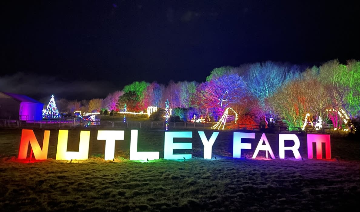 Nutley Farm Christmas Lights and Reindeer Experience Visit Dorset