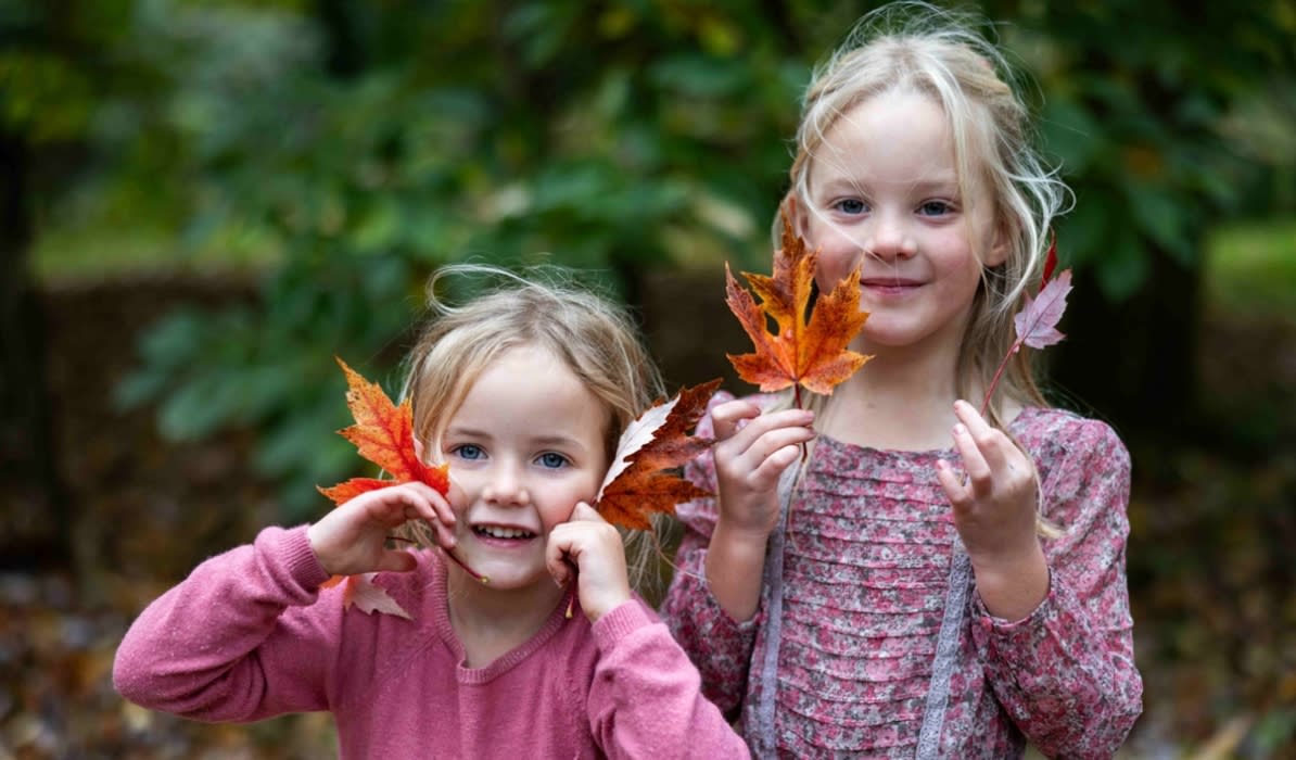 Maple Magic at Westonbirt, The National Arboretum