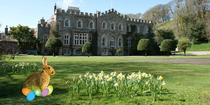 Easter Fun and Bluebells - Visit Devon