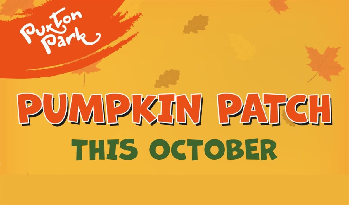 Pumpkin Patch at Puxton Park