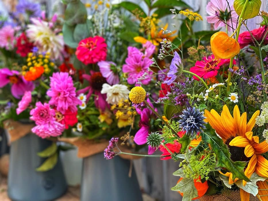 House of Flowers Visit Dorset