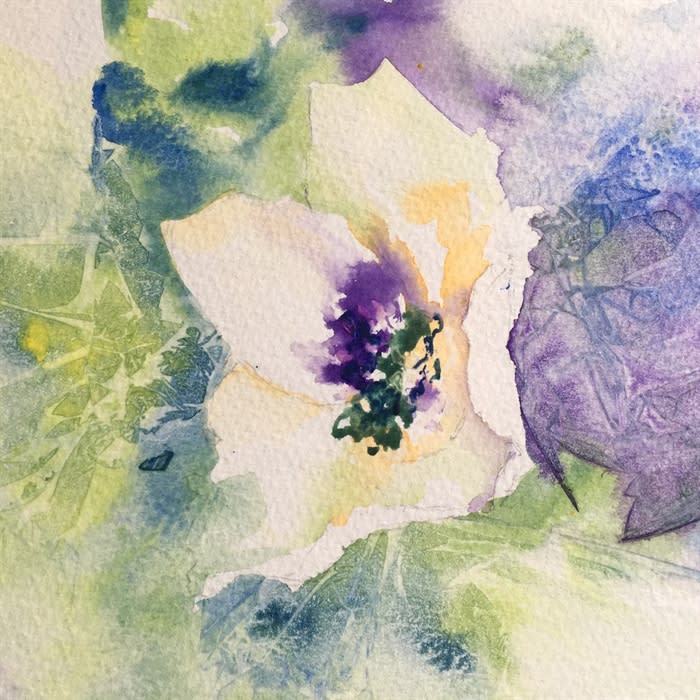 Painting Flowers in Watercolour and Inks Visit Devon