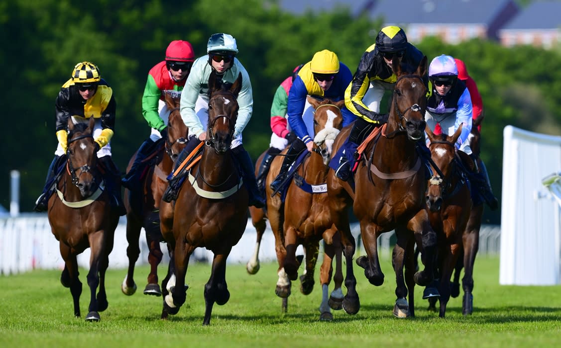 Easter Saturday Racing - Newton Abbot Racecourse - Visit Devon