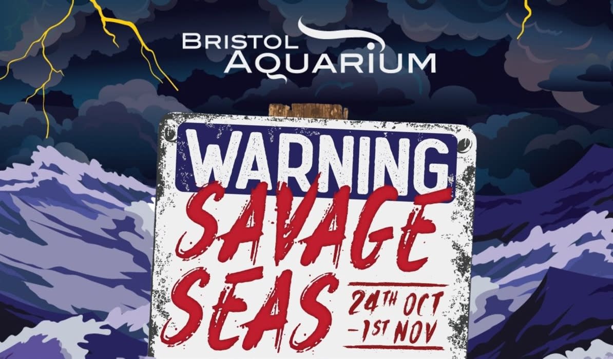 Savage Seas at Bristol Aquarium