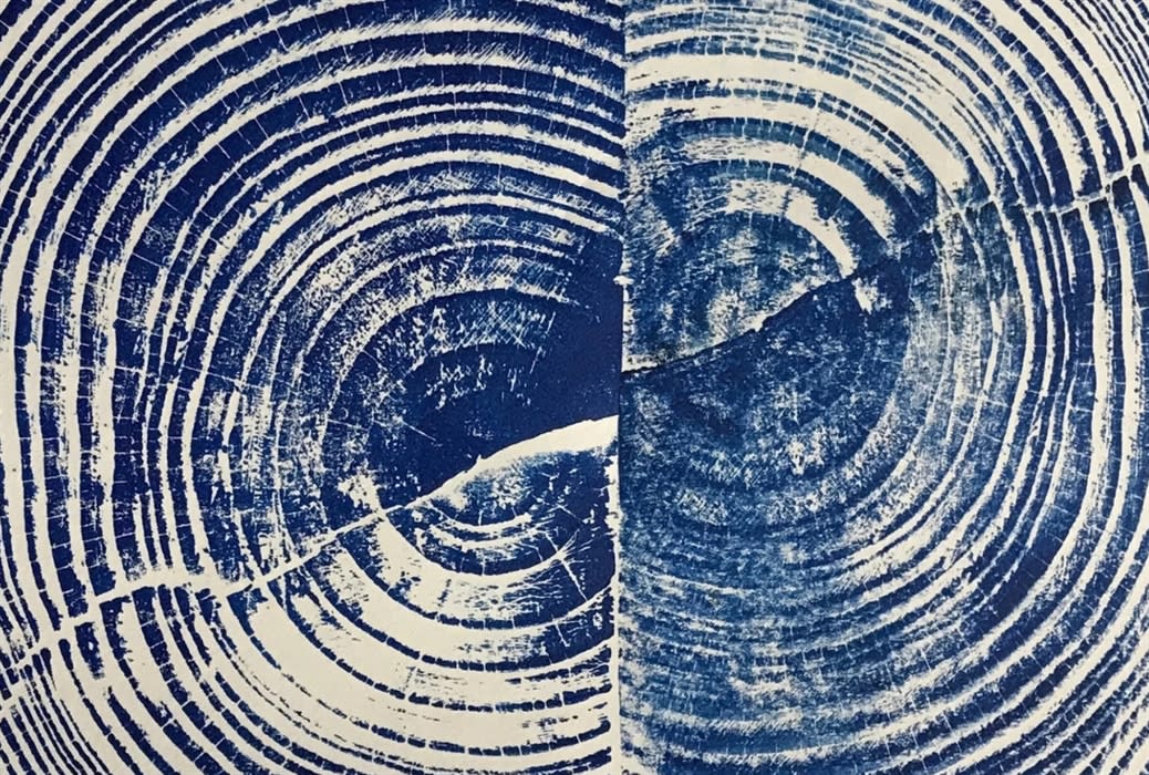 Tree ring wood prints workshop - Cotswolds