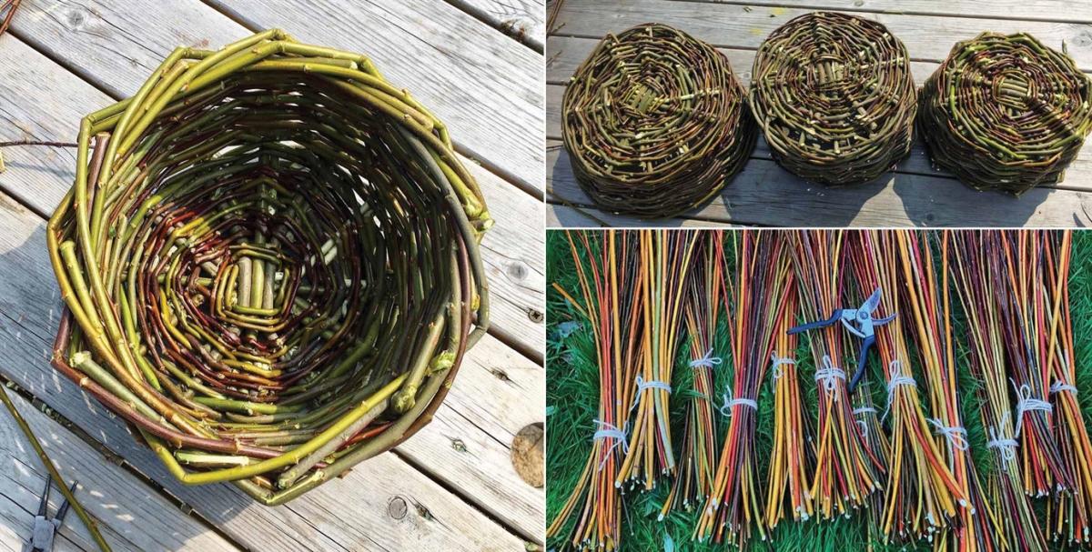 Willow Basket Weaving Visit Devon
