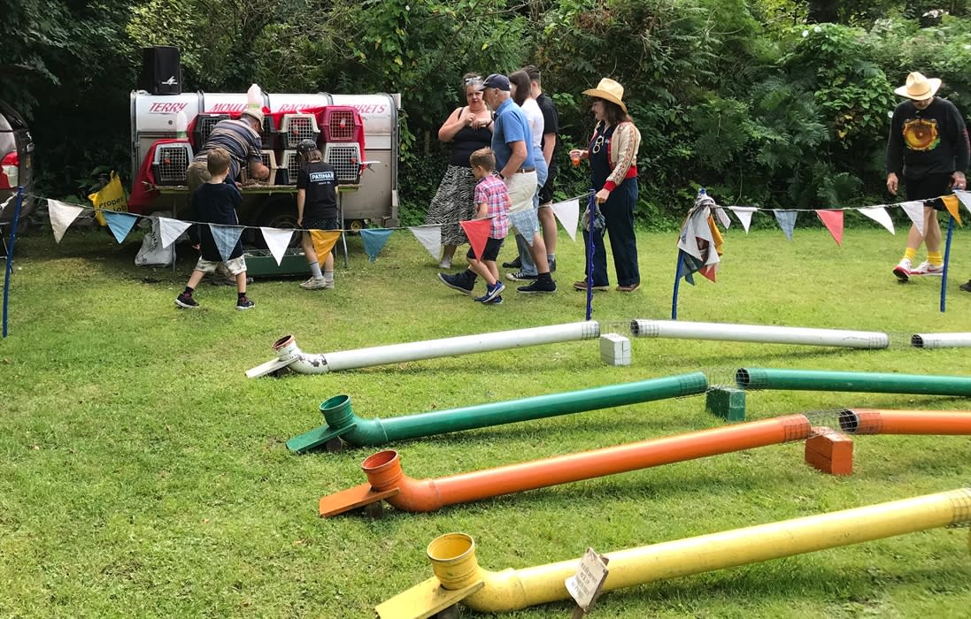 Ferret Racing - Visit Devon
