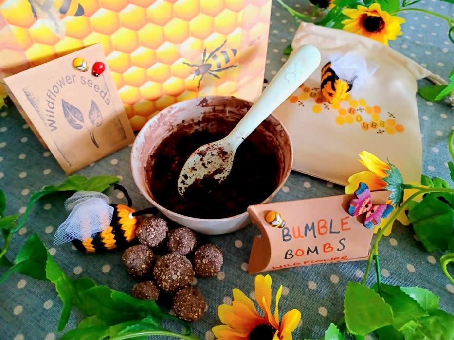 Bee Bomb Making Visit Devon