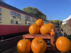 Pick a Pumpkin Express at Avon Valley Railway
