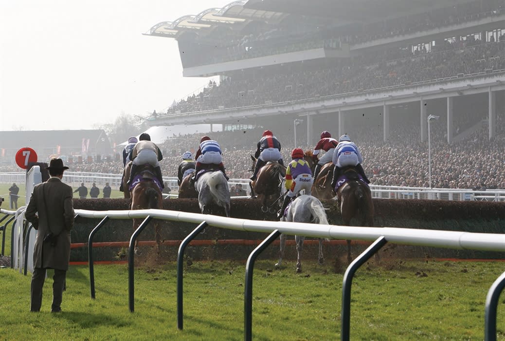 Cheltenham Race Preview Night - Cotswolds