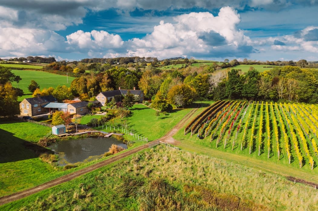Furleigh Estate Wine Tours - Visit Dorset